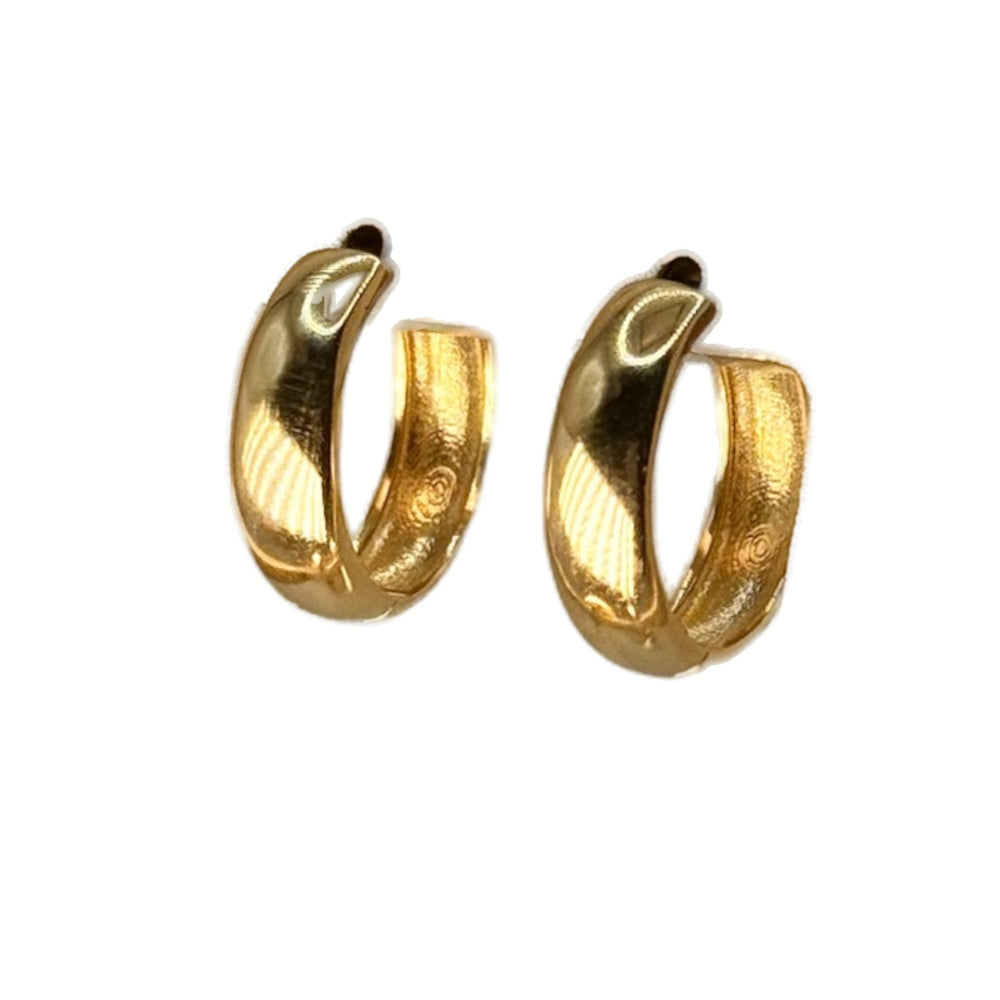 Gold Hoops Earrings