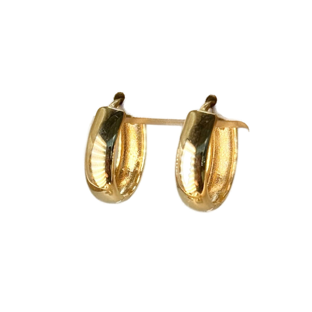 Oval Hoops Earrings