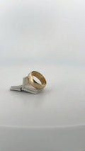 Anillo Liso #6