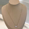 Collar de tortuga